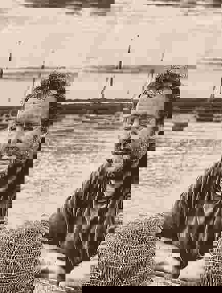 The King's Head Letheringsett — interior and exterior view 18