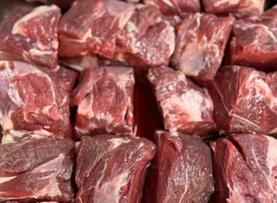 8D64ef3f C526 4B1c 97F8 8023A5ea300c.IMG 9328