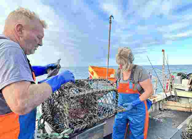 The King's Head Letheringsett — interior and exterior view 16
